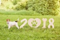 Adorable happy fox terrier dog at the park 2018 new year greetin Royalty Free Stock Photo