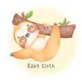 Adorable happy smile baby sloth hanging on tree cartoon watercolor nursery Illustration Royalty Free Stock Photo