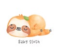 Adorable happy smile baby sloth sleeping cartoon watercolor nursery Illustration