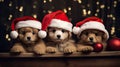 the adorable holiday spirit with three little cute puppies donning Santa Claus hats in a heartwarming scene.