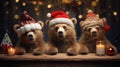 the adorable holiday spirit with three little cute puppies donning Santa Claus hats in a heartwarming scene.