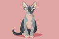 Sphynx cat on a pink background, cartoon style Royalty Free Stock Photo