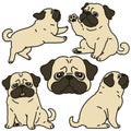 Set of outlined simple and cute pug illustrations