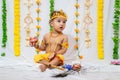 adorable infant dressed as hindu god krishna on the occasion of janmashtami celebrated at india