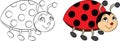 Before and after, contour and color kawaii drawing of a little ladybug for children`s coloring book or coloring game
