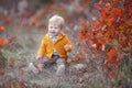 Little boy alone sits on dry grass in a beautiful autumn park on a background of red foliage Royalty Free Stock Photo