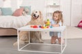 adorable kid playing with educational cubes, friendly golden retriever sitting near table