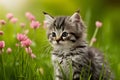 Adorable kitten captivated by the beauty of natures wonders