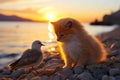 An adorable kitten companion standing atop a cluster of rocks on a beach, looking upon a small bird Royalty Free Stock Photo