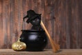 Adorable Kitten Dressed as a Halloween Witch With Hat and Broom