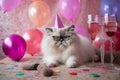 adorable kitten with glasess celebrates his birthday with a cardboard hat, Generative AI