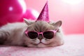 adorable kitten with glasess celebrates his birthday with a cardboard hat, Generative AI