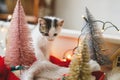 Adorable kitten playing among christmas tree decorations, ornaments and warm lights Royalty Free Stock Photo