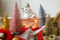 Adorable kitten playing among christmas tree decorations, ornaments and warm lights Royalty Free Stock Photo