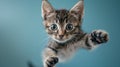 The Adorable Kitten Reaching.AI generated image Royalty Free Stock Photo