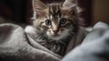A cute kitten cuddled up in a fluffy blanket created with Generative AI