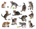 Adorable kittens playing with toys on white background, collage. Lovely pet