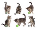 Adorable kittens playing with toys on white background, collage. Lovely pet