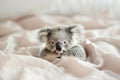 An adorable koala bear nestled in soft bedding