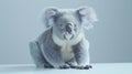 The adorable koala closeup.AI generated image Royalty Free Stock Photo