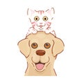 Adorable labrador retriever dog carry cute kitten on head. Lovely animal friendship