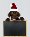 Adorable Labrador Retriever puppy wearing a Christmas hat holding a blackboard mockup Royalty Free Stock Photo