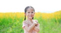 Adorable little Asian child girl feeling free with hand folded cross one`s arm in Sunhemp field with sunlight outdoor. Yellow Royalty Free Stock Photo