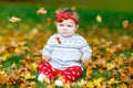 Adorable little baby girl in autumn park on sunny warm october day with oak and maple leaf Royalty Free Stock Photo