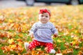 Adorable little baby girl in autumn park on sunny warm october day with oak and maple leaf. Fall foliage. Family outdoor Royalty Free Stock Photo