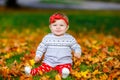 Adorable little baby girl in autumn park on sunny warm october day with oak and maple leaf. Fall foliage. Family outdoor Royalty Free Stock Photo