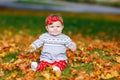 Adorable little baby girl in autumn park on sunny warm october day with oak and maple leaf. Fall foliage. Family outdoor Royalty Free Stock Photo