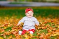 Adorable little baby girl in autumn park on sunny warm october day with oak and maple leaf. Fall foliage. Family outdoor Royalty Free Stock Photo