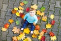 Adorable little baby girl in autumn park on sunny warm october day with oak and maple leaf. Fall foliage. Family outdoor Royalty Free Stock Photo