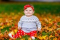 Adorable little baby girl in autumn park on sunny warm october day with oak and maple leaf. Fall foliage. Family outdoor Royalty Free Stock Photo