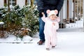 Adorable little baby girl making first steps outdoors in winter through snow. Cute toddler learning walking. Father