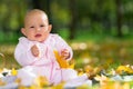 Adorable little baby girl playing in a fall park. Royalty Free Stock Photo