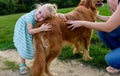 Adorable little blond girl smiling and hugging her cute pet dog Royalty Free Stock Photo