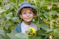 Adorable little blond kid boy with glasses and hat on summer sunflower field outdoors. Cute preschool child having fun Royalty Free Stock Photo