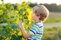 Adorable little blond kid boy on summer sunflower field outdoors Royalty Free Stock Photo