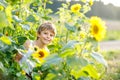 Adorable little blond kid boy on summer sunflower field outdoors Royalty Free Stock Photo