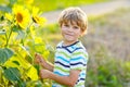 Adorable little blond kid boy on summer sunflower field outdoors Royalty Free Stock Photo