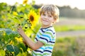 Adorable little blond kid boy on summer sunflower field outdoors. Cute preschool child having fun on warm summer evening Royalty Free Stock Photo