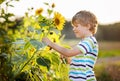 Adorable little blond kid boy on summer sunflower field outdoors Royalty Free Stock Photo