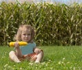 Adorable little blonde Caucasian girl is on the field and eating a corn. The stalks of cor Royalty Free Stock Photo