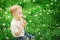 Adorable little boy blowing on a dandelion on a green spring meadow Royalty Free Stock Photo