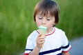 Adorable little boy, eating ice cream Royalty Free Stock Photo