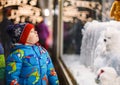 Adorable little boy looking through the window at Christmas decoration in the shop Royalty Free Stock Photo