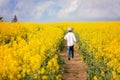 Adorable little boy, running in yellow oilseed field