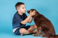 Adorable little boy sits hugging cute small brown dog with humility face expression, looking eyes to eyes to each other. Royalty Free Stock Photo