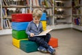 Adorable little boy, sitting in library, reading book and choosing what to lend, kid in book store Royalty Free Stock Photo